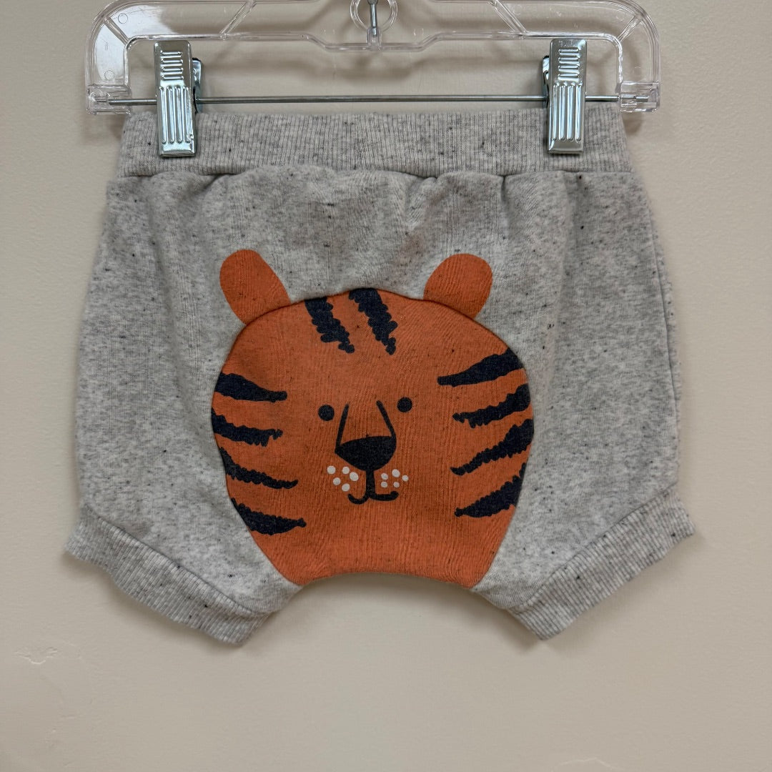 Seed Shorts - Size 1