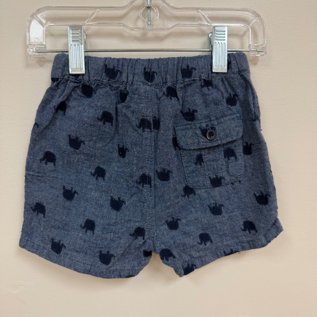 Seed Shorts - Size 1