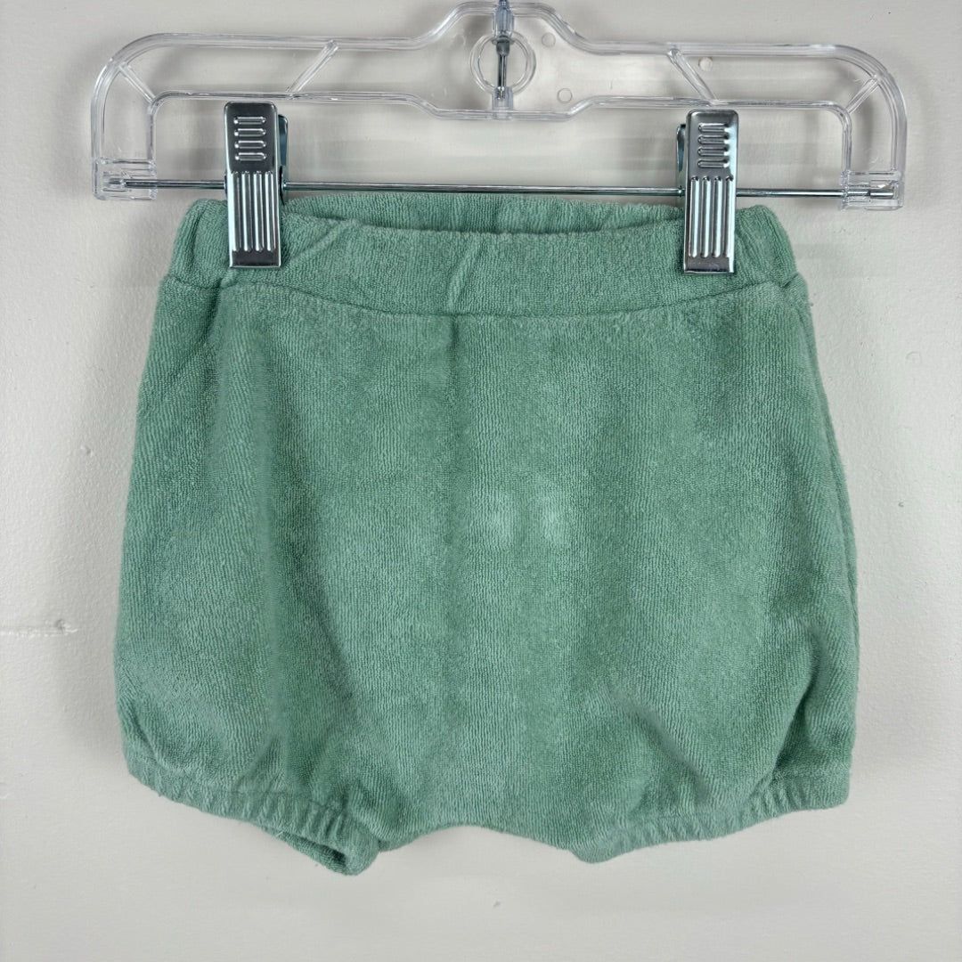Seed Bloomers - Size 000