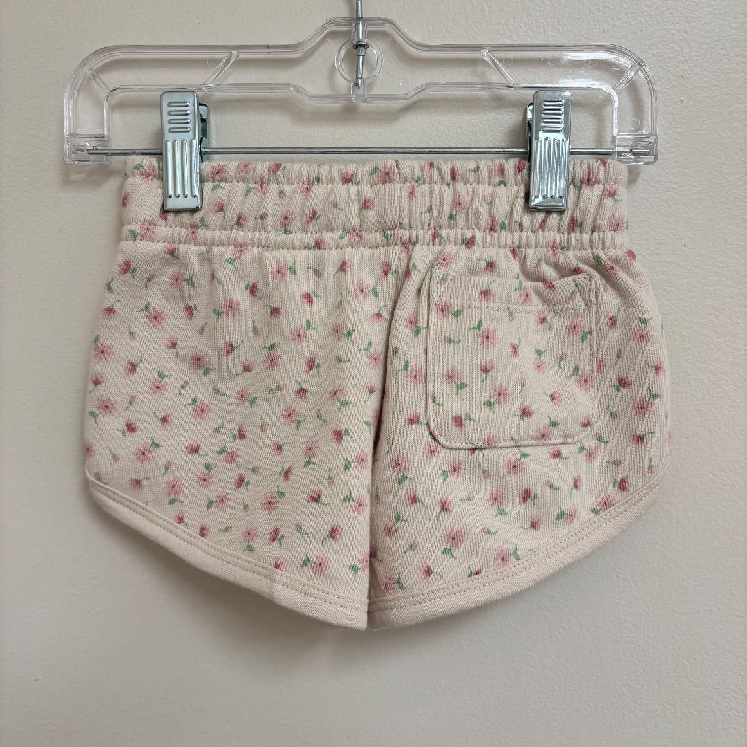 Jamie Kay Shorts BNWT - Size 1