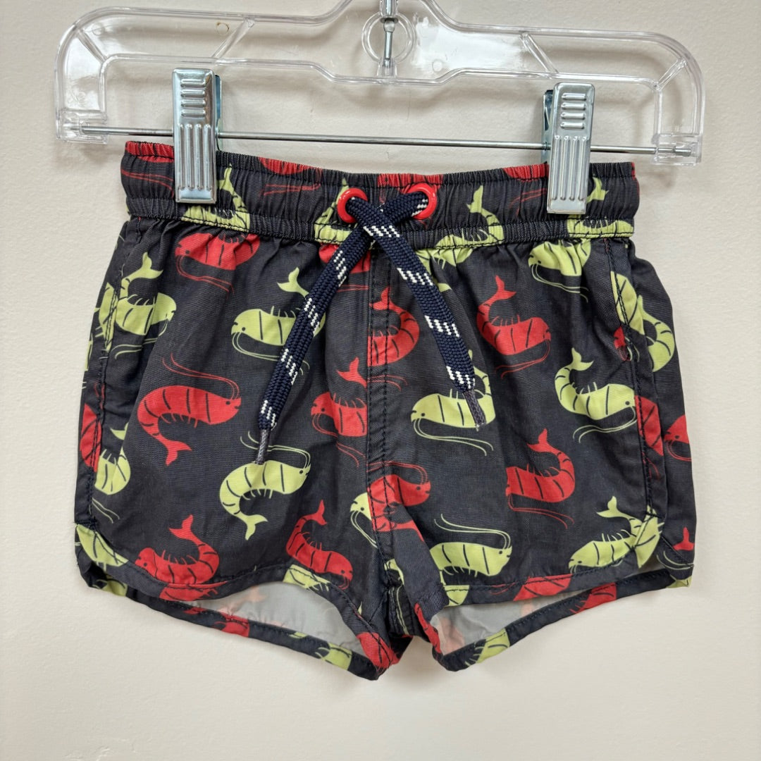 Seed Shorts - Size 1