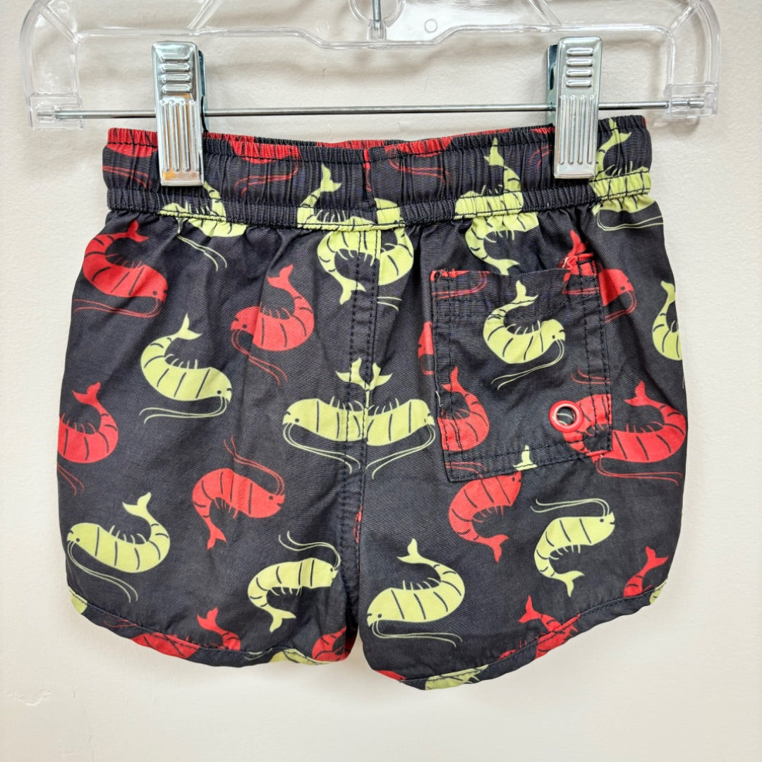 Seed Shorts - Size 1