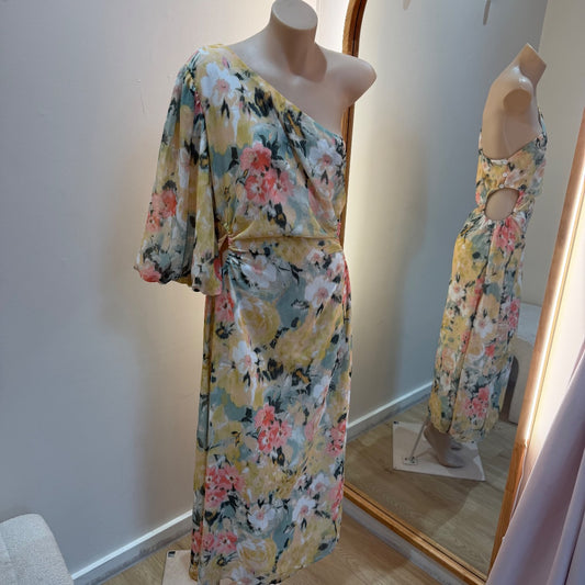 Reverse Dress BNWT - Size 12