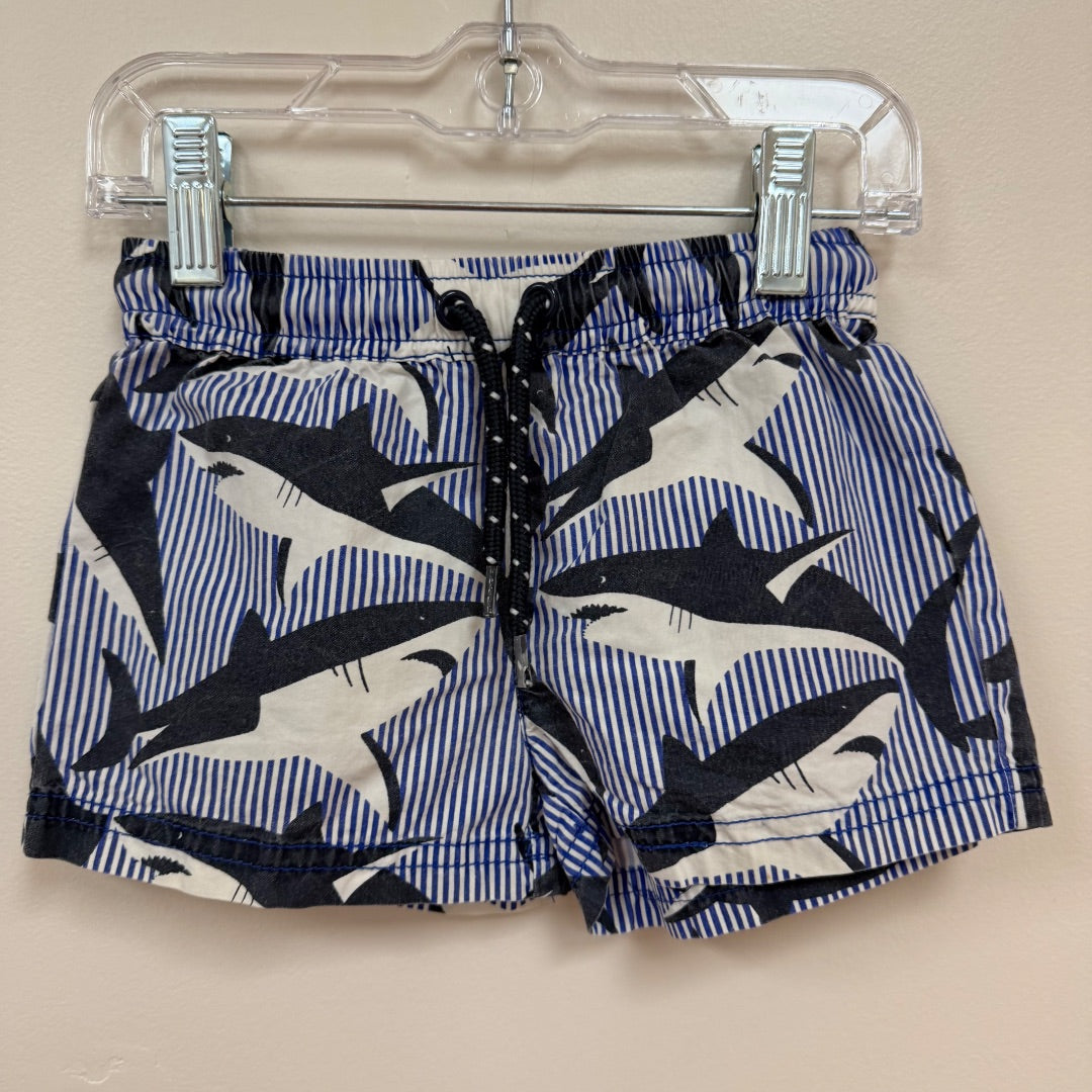 Seed Shorts - Size 2