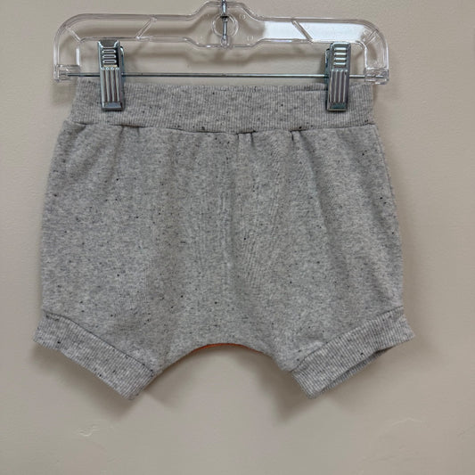 Seed Shorts - Size 1