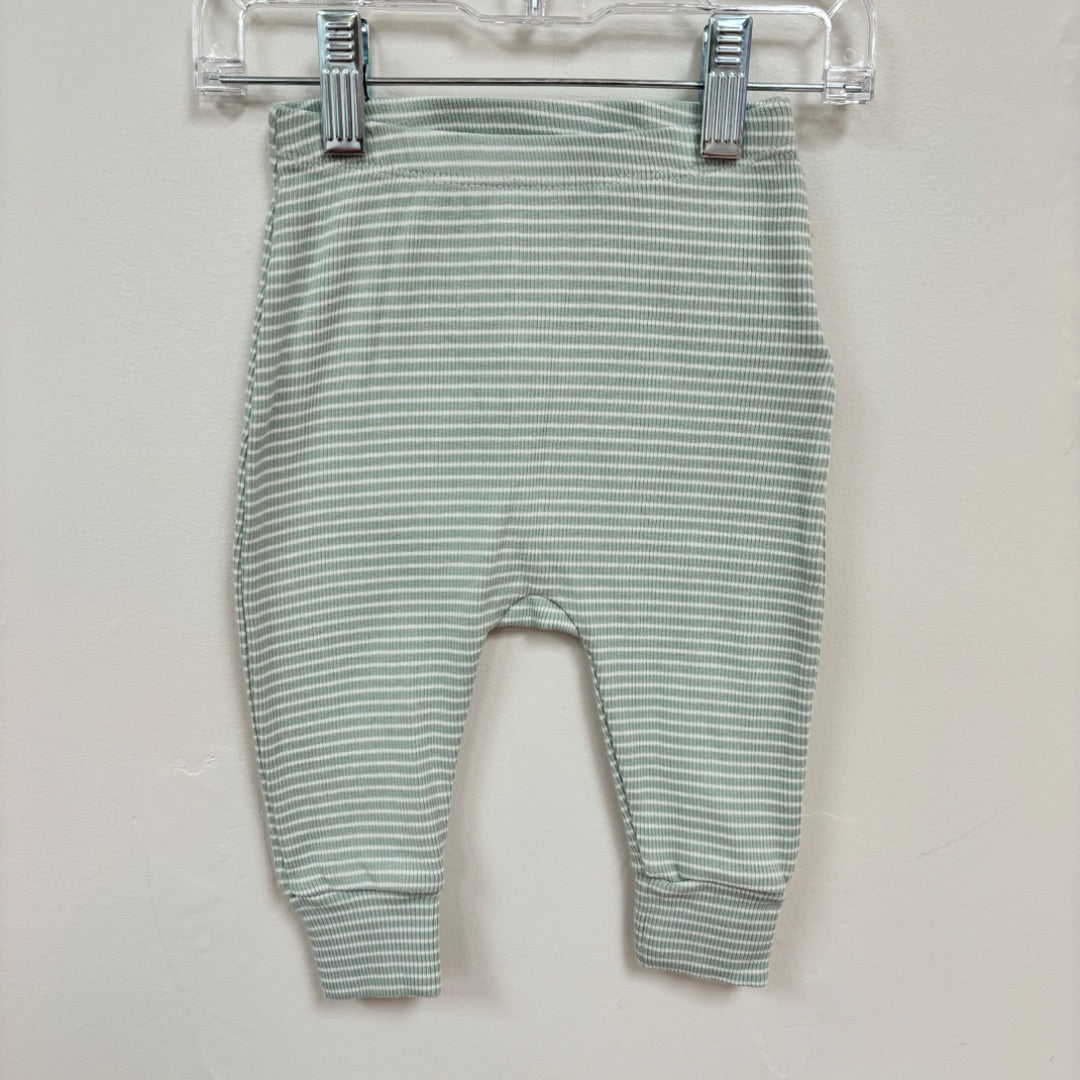 Seed Matching Set - Size 00