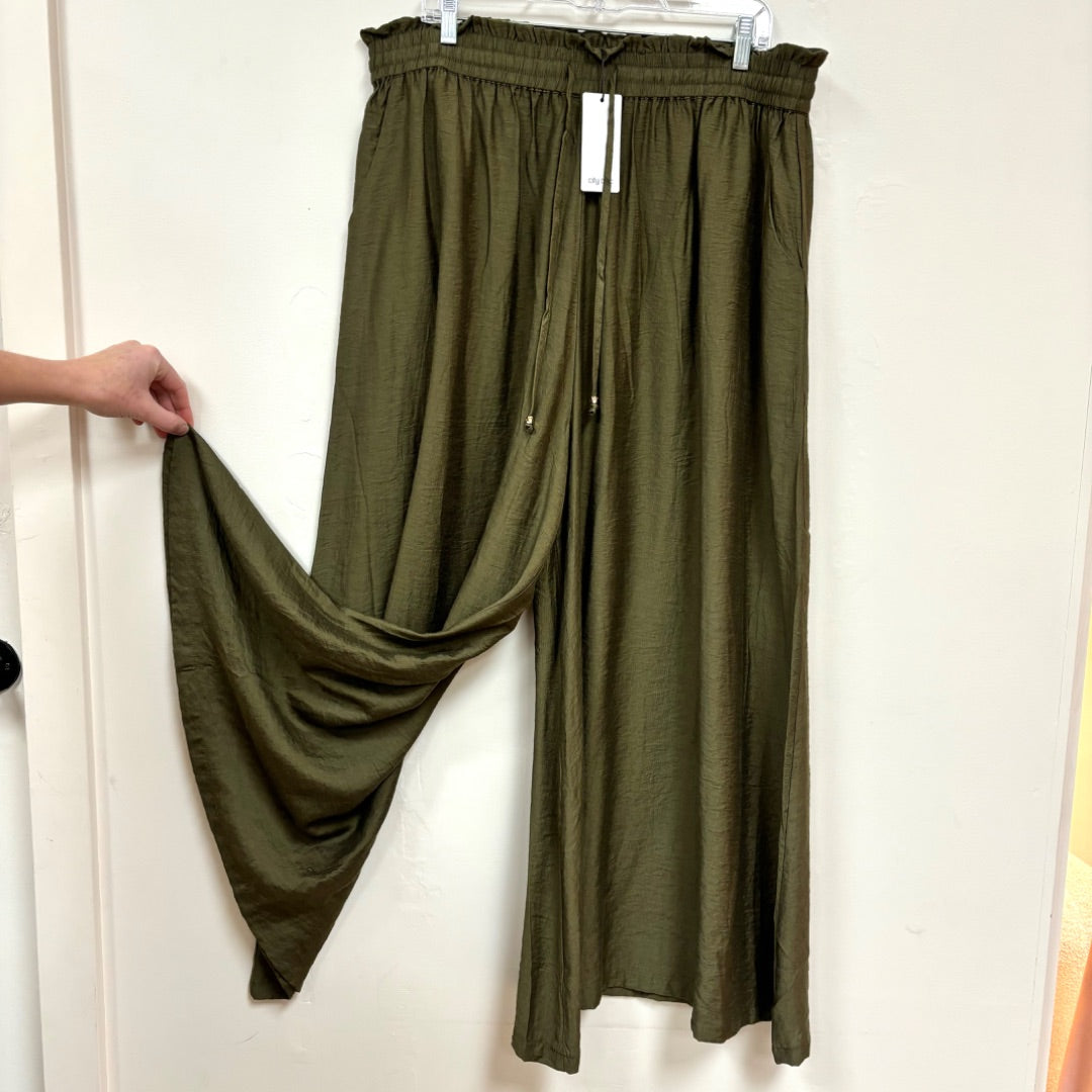 City Chic Pants BNWT - Size 16