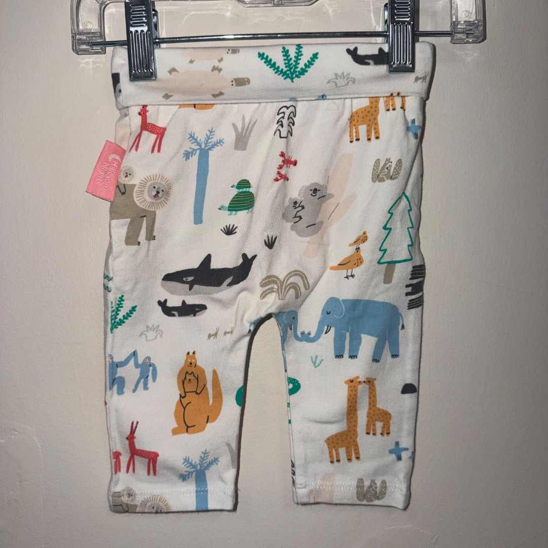 Halcyon Nights Leggings - Size 000