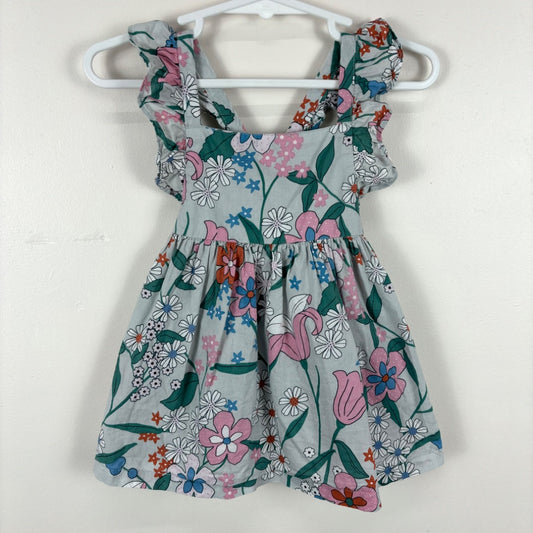 Country Road Dress - Size 00