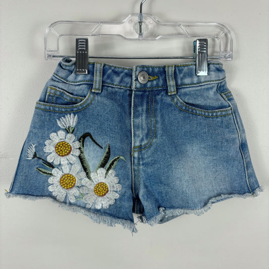 Zara Shorts - Size 5