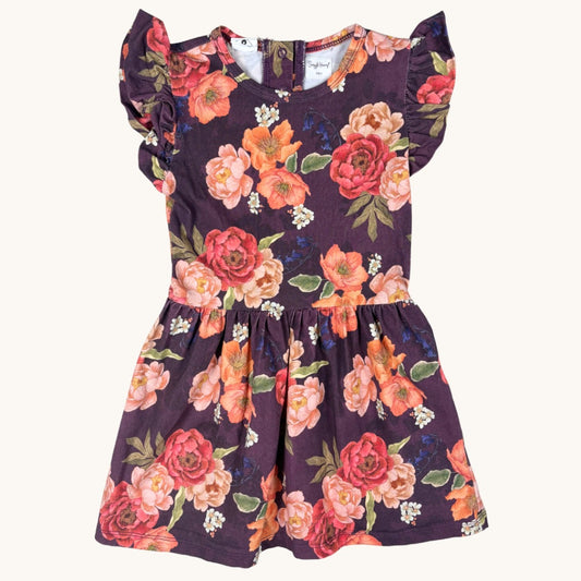 Snuggle Hunny Dress - Size 3